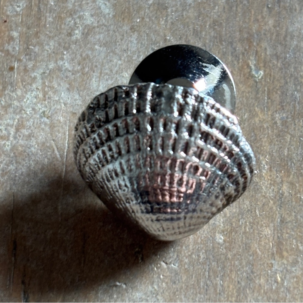 Elegant Sterling Silver Shell Brooch